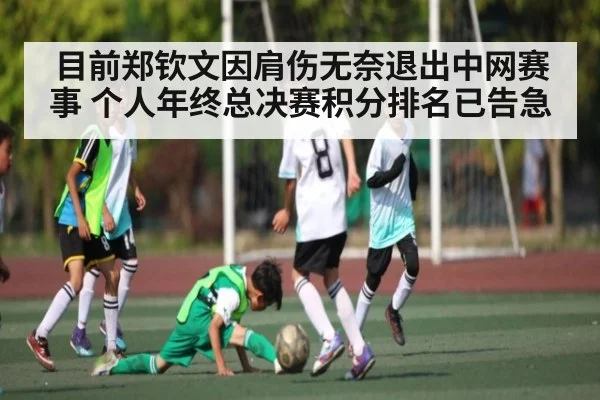 目前郑钦文因肩伤无奈退出中网赛事 个人年终总决赛积分排名已告急 - kaiyun